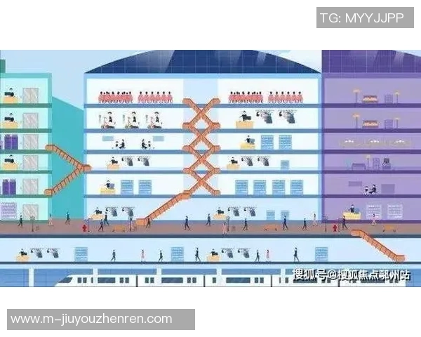 2026年3月份新闻杭州乒乓球队的节奏体系与战术解析提升竞技水平的关键因素